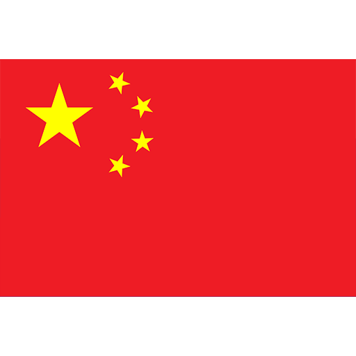 Chinês
